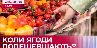 Цены на продукты в Украине: что за год подорожало больше всего
Цены на продукты в Украине: что за год подорожало больше всего