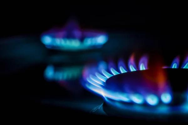 Цены на газ в Европе подскочили до самого высокого уровня с начала года
Цены на газ в Европе подскочили до самого высокого уровня с начала года