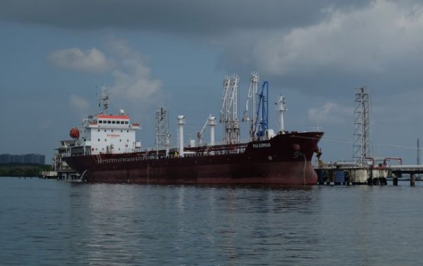В мае Индия закупила рекордное количество российской нефти, - Reuters
В мае Индия закупила рекордное количество российской нефти, - Reuters