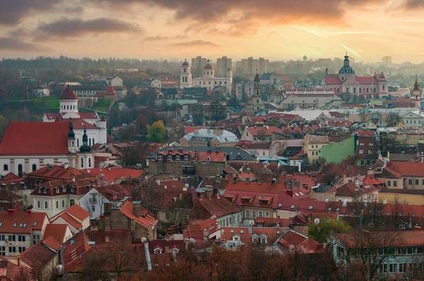 Работу в Литве уже нашли более 32 тысяч украинцев. Что предлагает рынок труда
Работу в Литве уже нашли более 32 тысяч украинцев. Что предлагает рынок труда