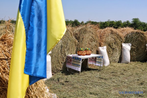 Із пшениці від одеських селекціонерів виходить чудовий хліб Із пшениці від одеських селекціонерів виходить чудовий хліб