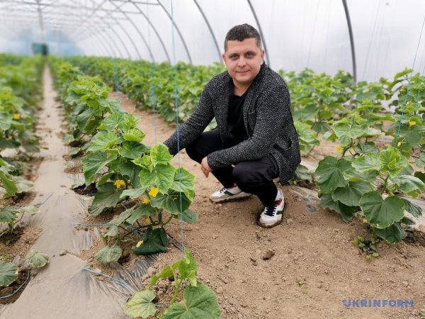 Грушеві сади і теплиці з суницею. Як допомагають державні гранти Грушеві сади і теплиці з суницею. Як допомагають державні гранти