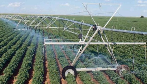 Площа зрошуваних земель в Україні скоротилась ушестеро - експерт Площа зрошуваних земель в Україні скоротилась ушестеро - експерт