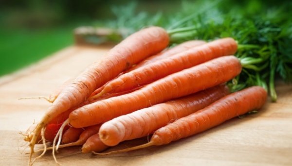В Україні дешевшає морква нового врожаю - EastFruit В Україні дешевшає морква нового врожаю - EastFruit