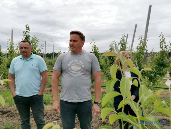 Грушеві сади і теплиці з суницею. Як допомагають державні гранти Грушеві сади і теплиці з суницею. Як допомагають державні гранти