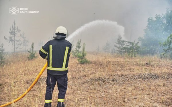 На Харківщині триває ліквідація 5 лісових пожеж площею 3300 га, спричинених російськими обстрілами
На Харківщині триває ліквідація 5 лісових пожеж площею 3300 га, спричинених російськими обстрілами