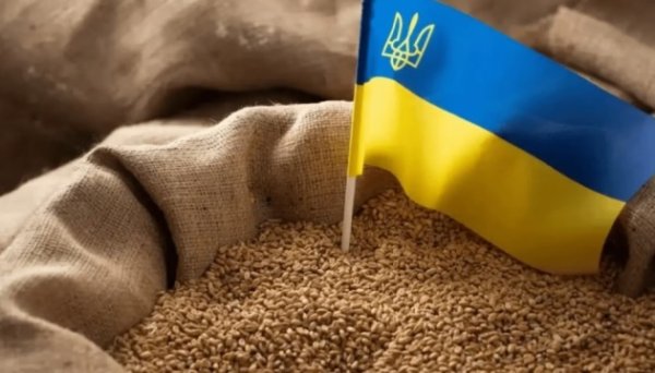Україна в сезоні 2023/2024 років експортує понад 50 мільйонів тонн олійних та зернових Україна в сезоні 2023/2024 років експортує понад 50 мільйонів тонн олійних та зернових