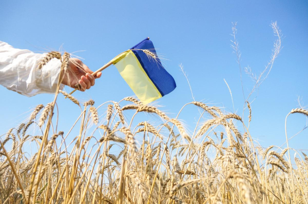 Війна не перешкода: німецькі компанії планують інвестувати в Україну Війна не перешкода: німецькі компанії планують інвестувати в Україну
