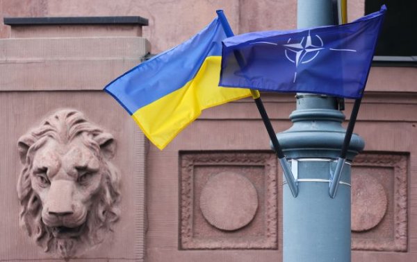 В НАТО обсуждают ежегодное предоставление Украине помощи в 40 млрд евро, - СМИ
В НАТО обсуждают ежегодное предоставление Украине помощи в 40 млрд евро, - СМИ