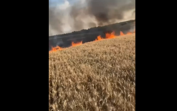 На Запоріжжі згоріло майже 4 га хліба через російський обстріл, – ДСНС
На Запоріжжі згоріло майже 4 га хліба через російський обстріл, – ДСНС