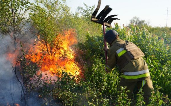 У Миколаєві вирує масштабна пожежа
У Миколаєві вирує масштабна пожежа