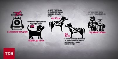 Курс валют на 17 июля: сколько стоят доллар, евро и злотый
Курс валют на 17 июля: сколько стоят доллар, евро и злотый