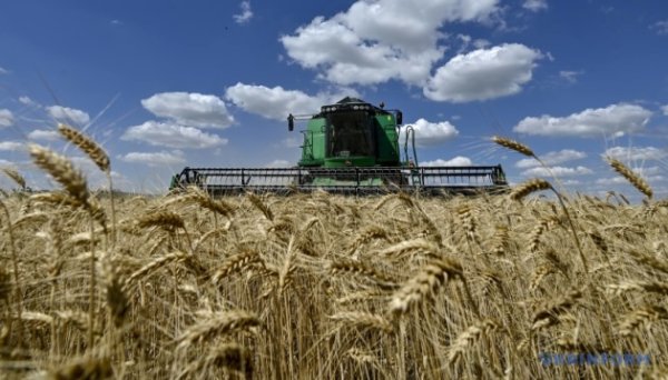 В Україні зібрали половину ранніх зернових - цьогоріч врожай очікують на рівні 27 мільйонів тонн В Україні зібрали половину ранніх зернових - цьогоріч врожай очікують на рівні 27 мільйонів тонн