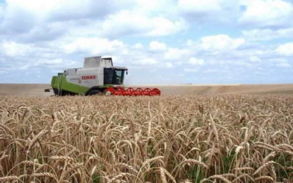Росіяни атакували дроном комбайн на Сумщині, загинув комбайнер
Росіяни атакували дроном комбайн на Сумщині, загинув комбайнер