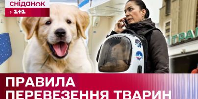 Курс валют на 19 июля: сколько стоят доллар, евро и злотый
Курс валют на 19 июля: сколько стоят доллар, евро и злотый