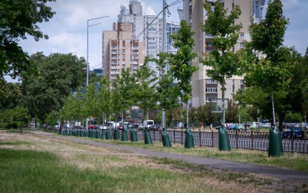 Із початку року в Києві висадили 3,5 тисяч дерев, 33 тисячі кущів та 4 мільйони квітів, - КМДА
Із початку року в Києві висадили 3,5 тисяч дерев, 33 тисячі кущів та 4 мільйони квітів, - КМДА