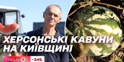 Какие арбузы покупают украинцы и сколько они стоят
Какие арбузы покупают украинцы и сколько они стоят