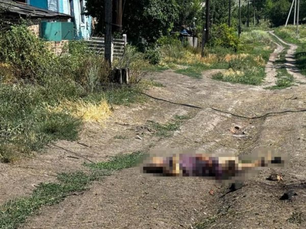 Войска РФ атаковали Донецкую область из разнокалиберного оружия: 5 погибших, 3 раненых Войска РФ атаковали Донецкую область из разнокалиберного оружия: 5 погибших, 3 раненых