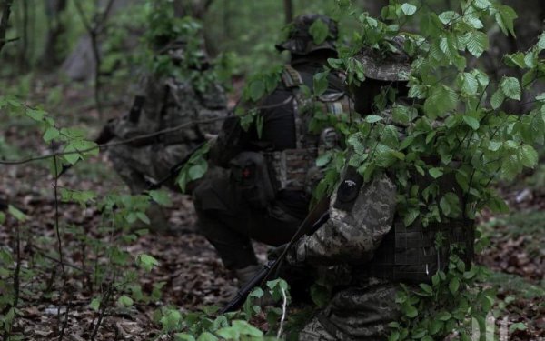 Російська армія зосередила штурмові дії на Курахівському і Покровському напрямках, — Генштаб
Російська армія зосередила штурмові дії на Курахівському і Покровському напрямках, — Генштаб