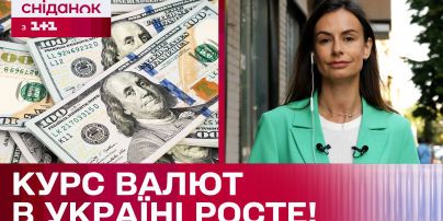 
Курс валют на 4 июля: сколько стоят доллар, евро и злотый
