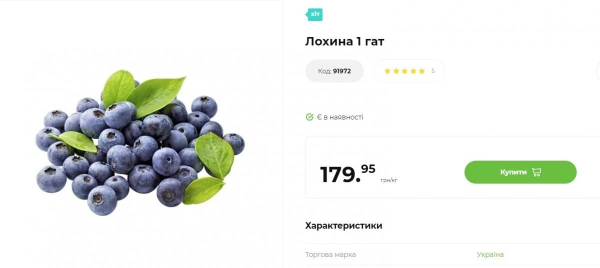 Ціни на лохину наприкінці сезону летять вниз: скільки коштує ягода в Україні Ціни на лохину наприкінці сезону летять вниз: скільки коштує ягода в Україні