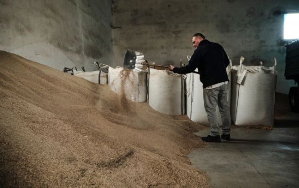 Производители продуктов в Украине повышают цены: что дорожает быстрее всего
Производители продуктов в Украине повышают цены: что дорожает быстрее всего