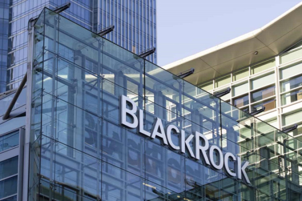 Аналитики ожидают, что BlackRock запустит собственный блокчейн
Аналитики ожидают, что BlackRock запустит собственный блокчейн