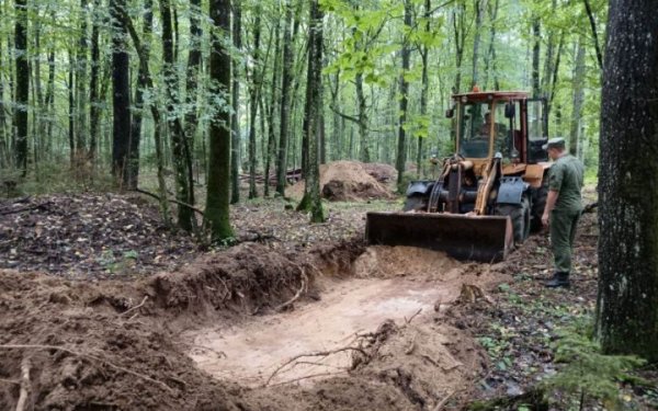 Білорусь продовжує перекидати до кордону з Україною свої підрозділи і техніку
Білорусь продовжує перекидати до кордону з Україною свої підрозділи і техніку