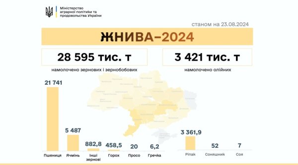 В Україні намолотили понад 32 мільйони тонн зернових та олійних В Україні намолотили понад 32 мільйони тонн зернових та олійних