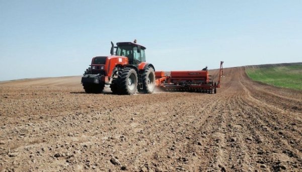 На Вінниччині засіяли понад 80% прогнозованих площ озимого ріпаку На Вінниччині засіяли понад 80% прогнозованих площ озимого ріпаку
