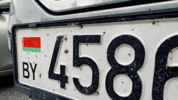 Литва запретила въезд всем легковым авто, которые зарегистрированы в Беларуси Литва запретила въезд всем легковым авто, которые зарегистрированы в Беларуси
