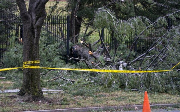 На Львівщині дерево впало на вагон електрички, є травмовані
На Львівщині дерево впало на вагон електрички, є травмовані