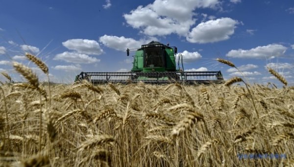 Кабмін змінив порядок використання коштів на підтримку сільгоспвиробників Кабмін змінив порядок використання коштів на підтримку сільгоспвиробників