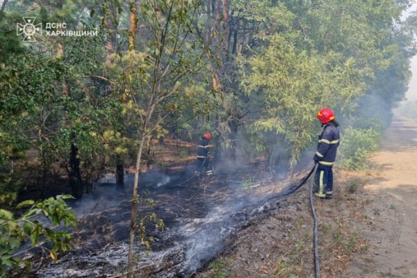 Спасатели 2 суток тушат пожар в лесу под Балаклеей 