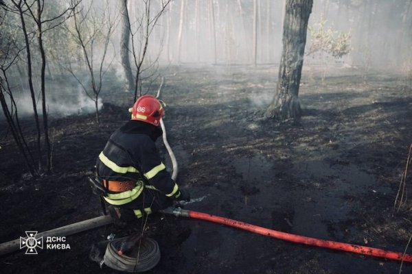 У трьох районах Києва на площі в понад гектар горів трав'яний настил
У трьох районах Києва на площі в понад гектар горів трав'яний настил