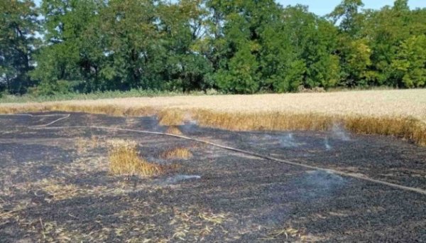Агресія РФ цьогоріч завдала збитків сільгосппідприємствам Кіровоградщини на ₴5,1 мільйона Агресія РФ цьогоріч завдала збитків сільгосппідприємствам Кіровоградщини на ₴5,1 мільйона