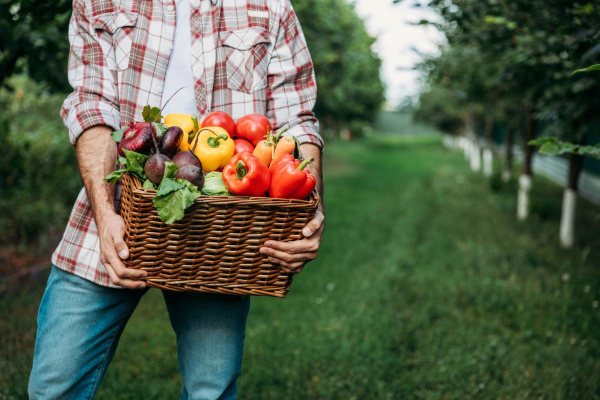 У перший тиждень осені деякі продукти в Україні подорожчали: що і скільки коштує У перший тиждень осені деякі продукти в Україні подорожчали: що і скільки коштує