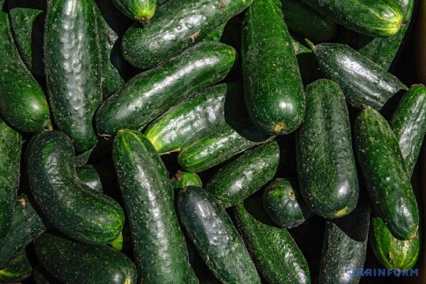 Чому в Україні стрімко дорожчають овочі «борщового набору» Чому в Україні стрімко дорожчають овочі «борщового набору»