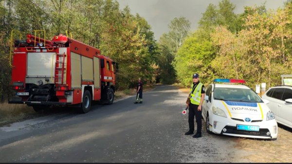 На Полтавщині гасять масштабну лісову пожежу
На Полтавщині гасять масштабну лісову пожежу