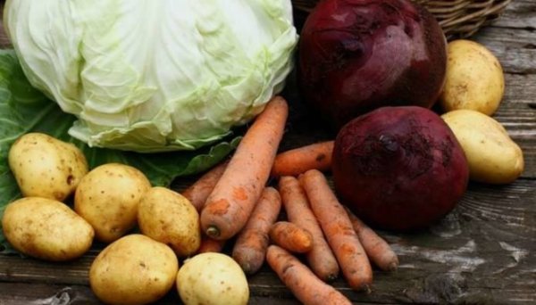 Чому в Україні стрімко дорожчають овочі «борщового набору» Чому в Україні стрімко дорожчають овочі «борщового набору»