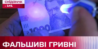Курс валют на 18 сентября: сколько стоят доллар, евро и злотый
Курс валют на 18 сентября: сколько стоят доллар, евро и злотый