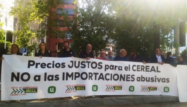 В Іспанії фермери протестують проти імпорту українського зерна В Іспанії фермери протестують проти імпорту українського зерна