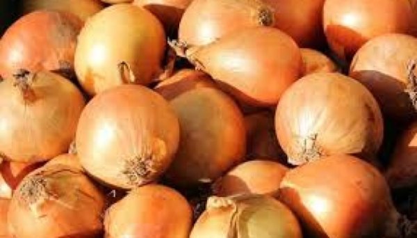 В Україні подорожчала цибуля - EastFruit В Україні подорожчала цибуля - EastFruit