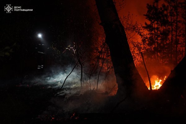 На Полтавщині гасять масштабну лісову пожежу
На Полтавщині гасять масштабну лісову пожежу