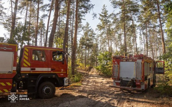У трьох районах Києва на площі в понад гектар горів трав'яний настил
У трьох районах Києва на площі в понад гектар горів трав'яний настил