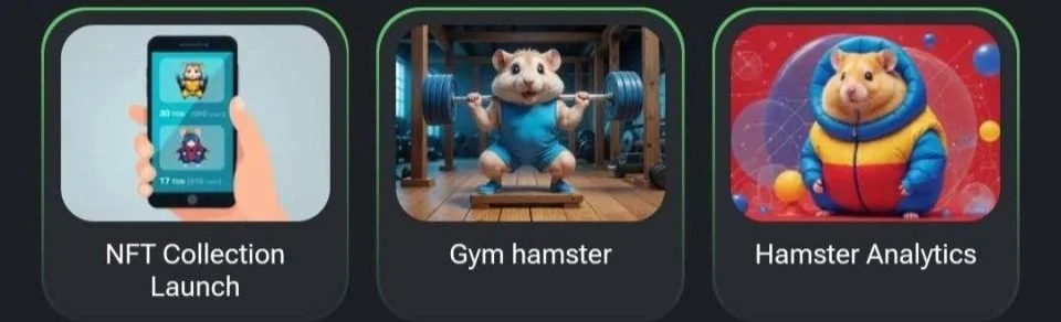 Вийшли комбо карти від Hamster Kombat для 16-17 вересня: оголошено великий бонус