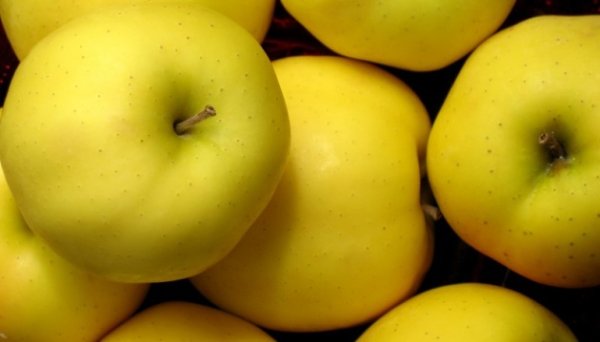 В Україні подорожчали яблука зимових сортів - EastFruit В Україні подорожчали яблука зимових сортів - EastFruit