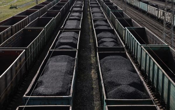 УЗ увеличила объемы перевозок грузов на 24%
УЗ увеличила объемы перевозок грузов на 24%