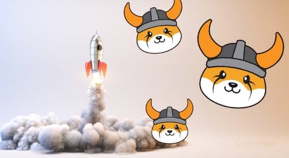 Криптографический проект FLOKI: чем он отличается? Прогнозы Cauvo Capital говорят о скором ралли токена
