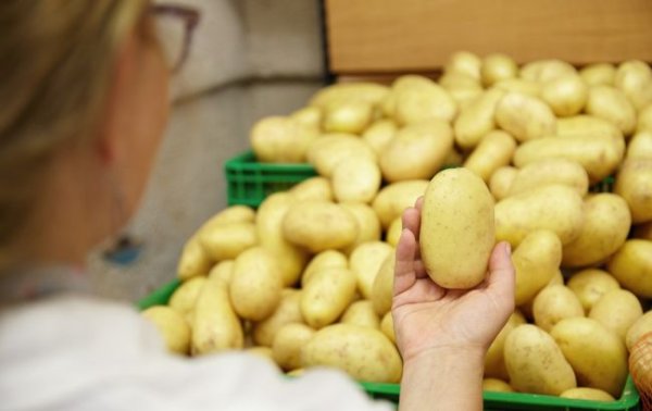Запасы на зиму. Какие цены на картофель в Украине и отличается ли стоимость от региона
Запасы на зиму. Какие цены на картофель в Украине и отличается ли стоимость от региона